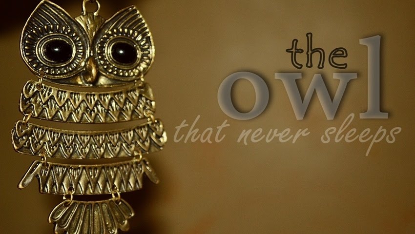 Owl That Never Sleeps