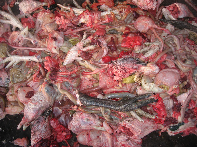 Image result for turkey guts