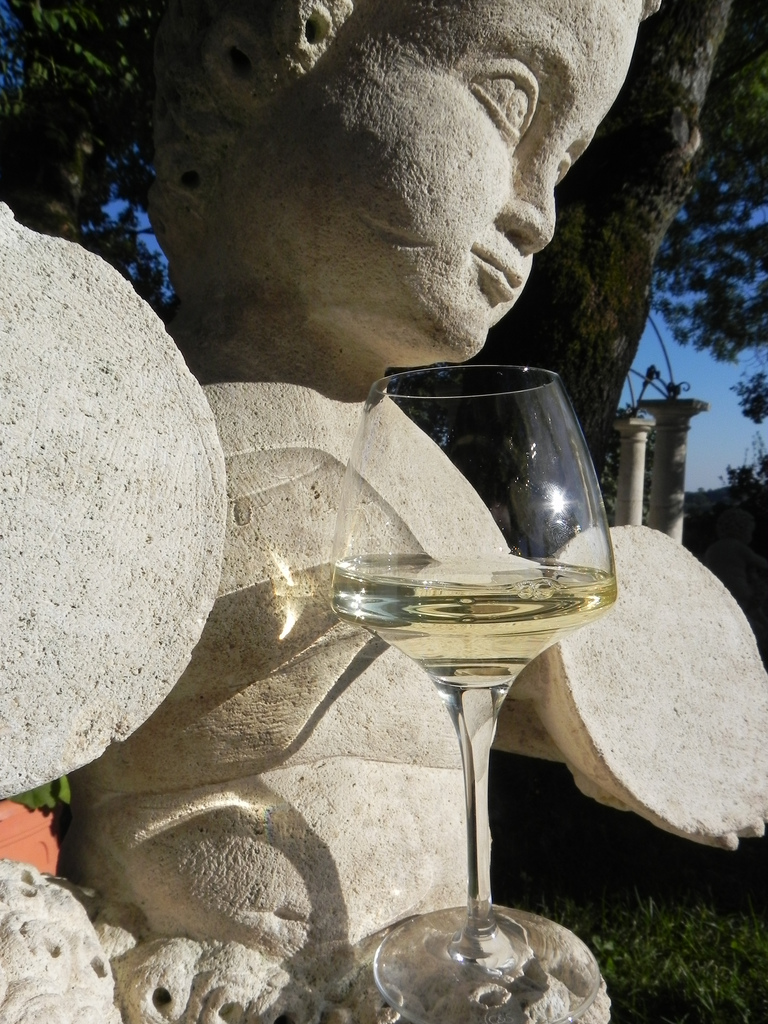 The Cambridge Wine Blogger Tour de Belfort The Wines 2010 White Blend