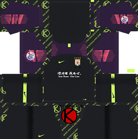 Shandong Luneng FC 2019 ACL Kit - Dream League Soccer Kits