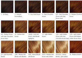 Chocolate Brown Hair Color At Sally S Hair Color Highlighting