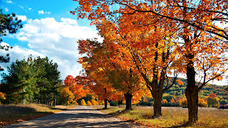 Autumn Lane HD Wallpapers for Desktop 1080p free download