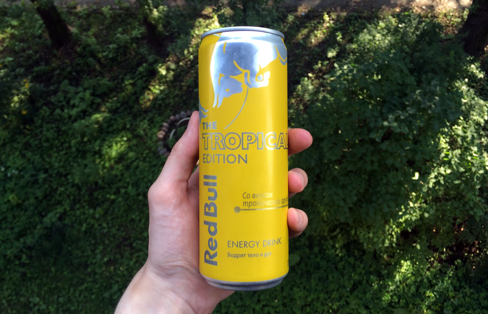 нт напиток безалкогольный "ред булл tropical edition" 0,355. ред булл энергетик вкусы. вкусы энергетика ред булл. редбул новые вкусы. конфеты со вкусом энергетика red bull.