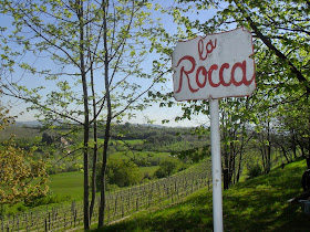 La Rocca vineyard of Coppo winery
