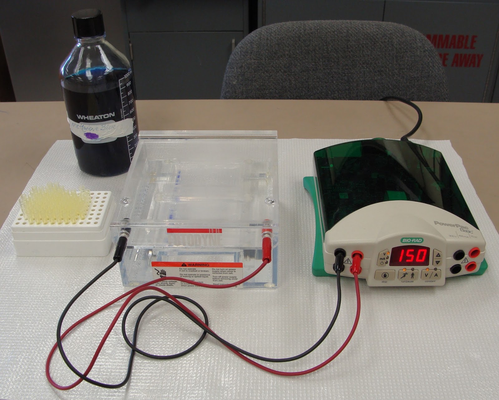 May 2016 MCQ Biology Learning Biology through MCQs