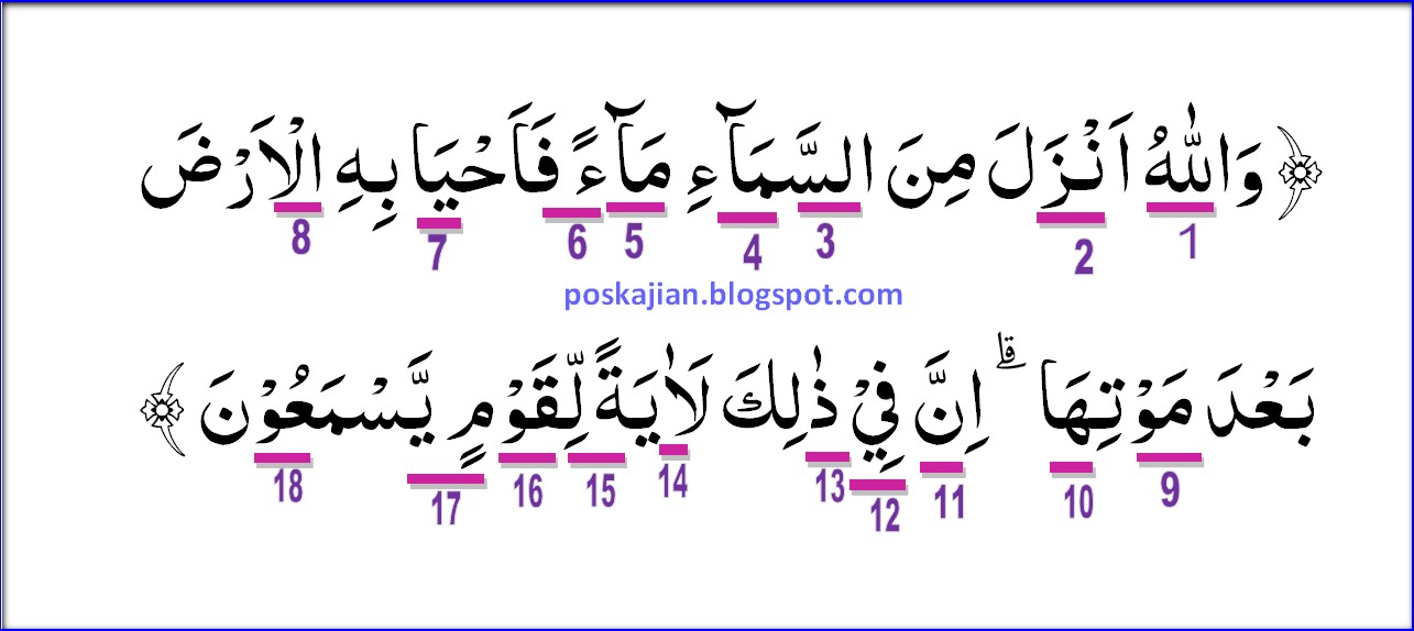 Quran Surat An Nahl Ayat 114 - Nusagates