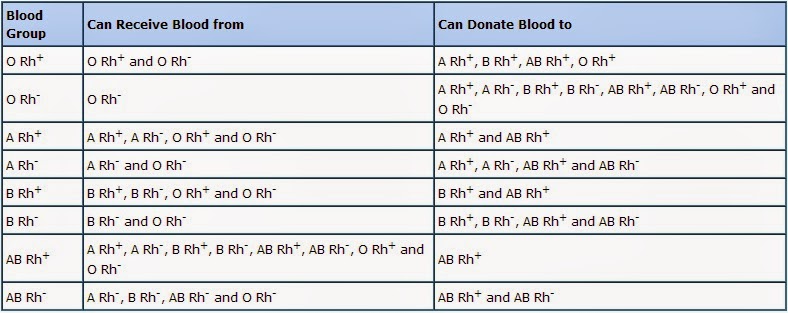 Prosedur Transfusi Darah - Komik Golongan Darah
