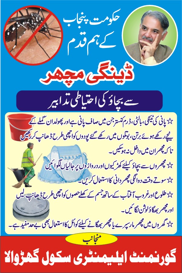 speech in urdu on dengue fever