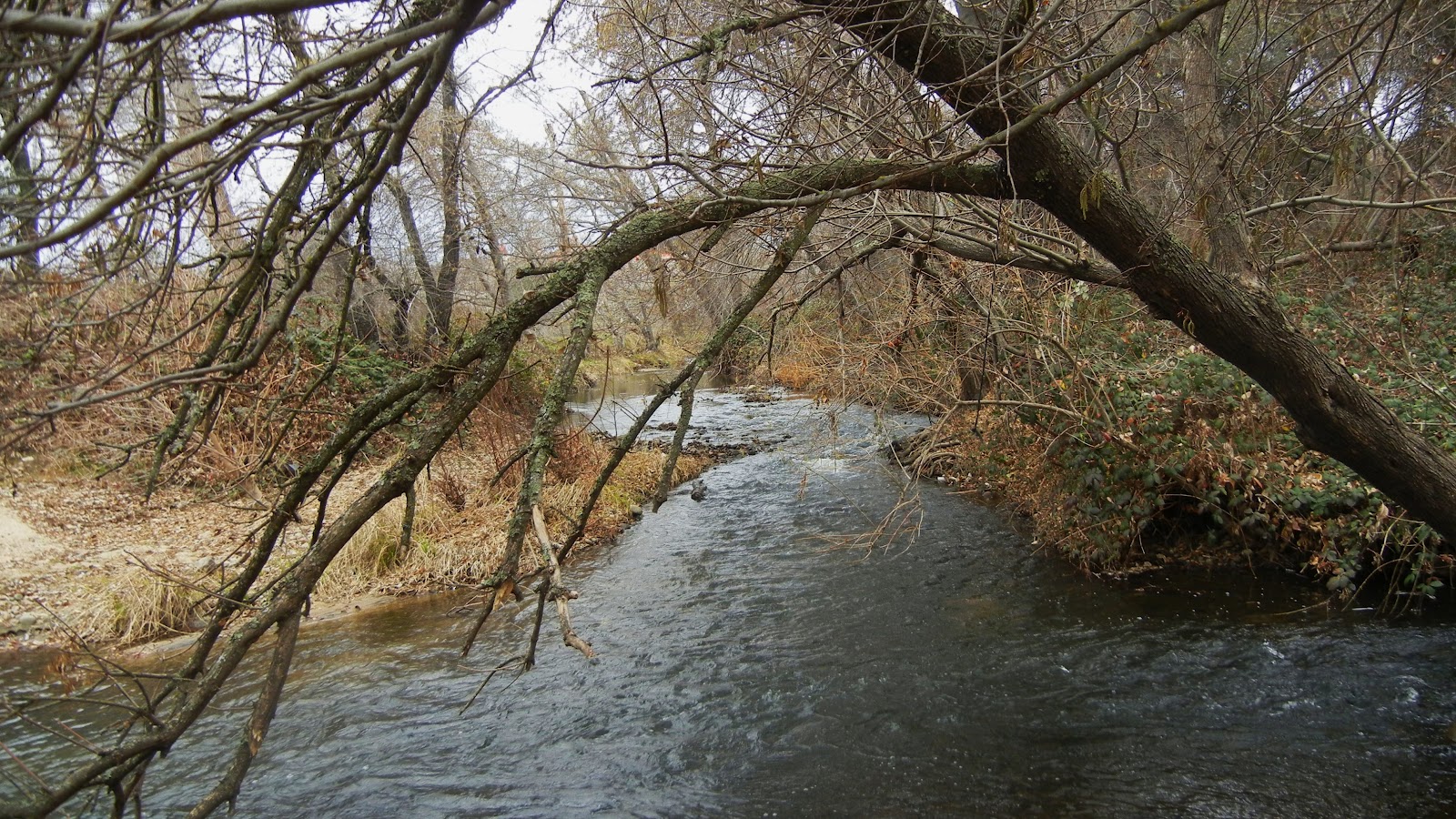 Peachy Hiker Miners Ravine near Roseville, CA