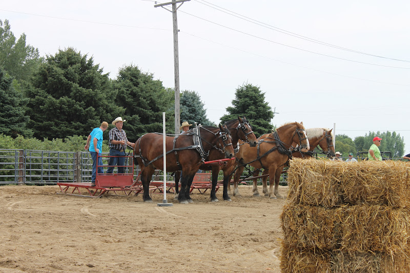 Cornerstone Retreat Murray County Classic Draft Horse Show Slayton MN