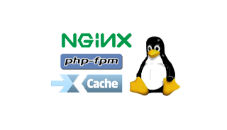 Change php.ini and reload nginx does not update value