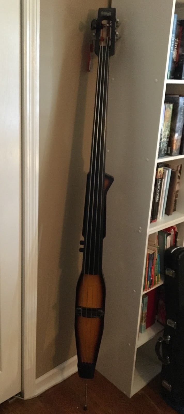 Diary of a Female Bassist Stagg Electric Upright Bass...arrived!