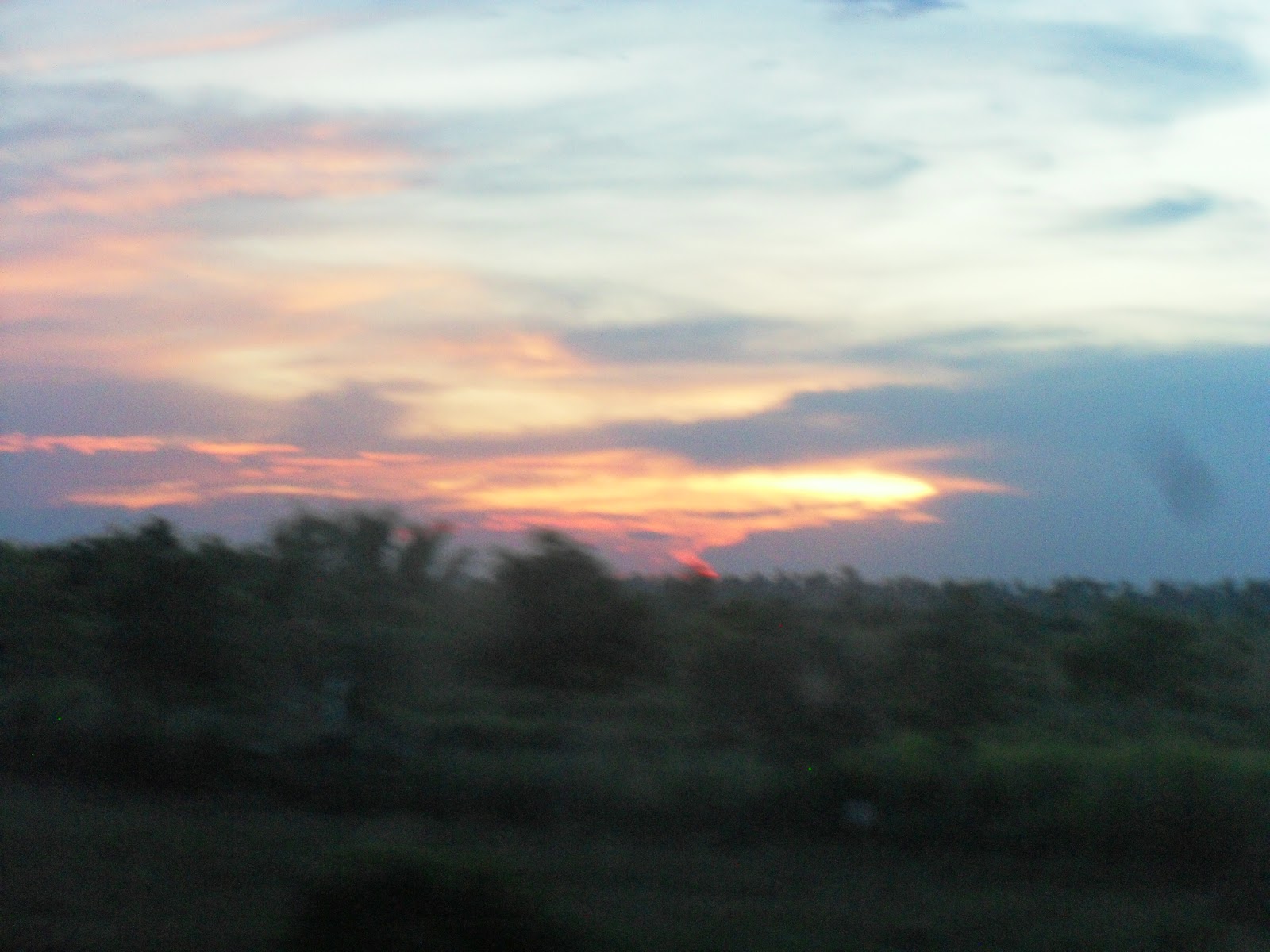 SDC16909.JPG