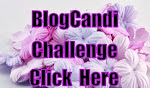 blog candi
