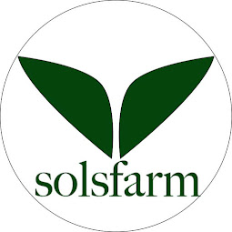 野菜セット購入はホームページからどうぞ。