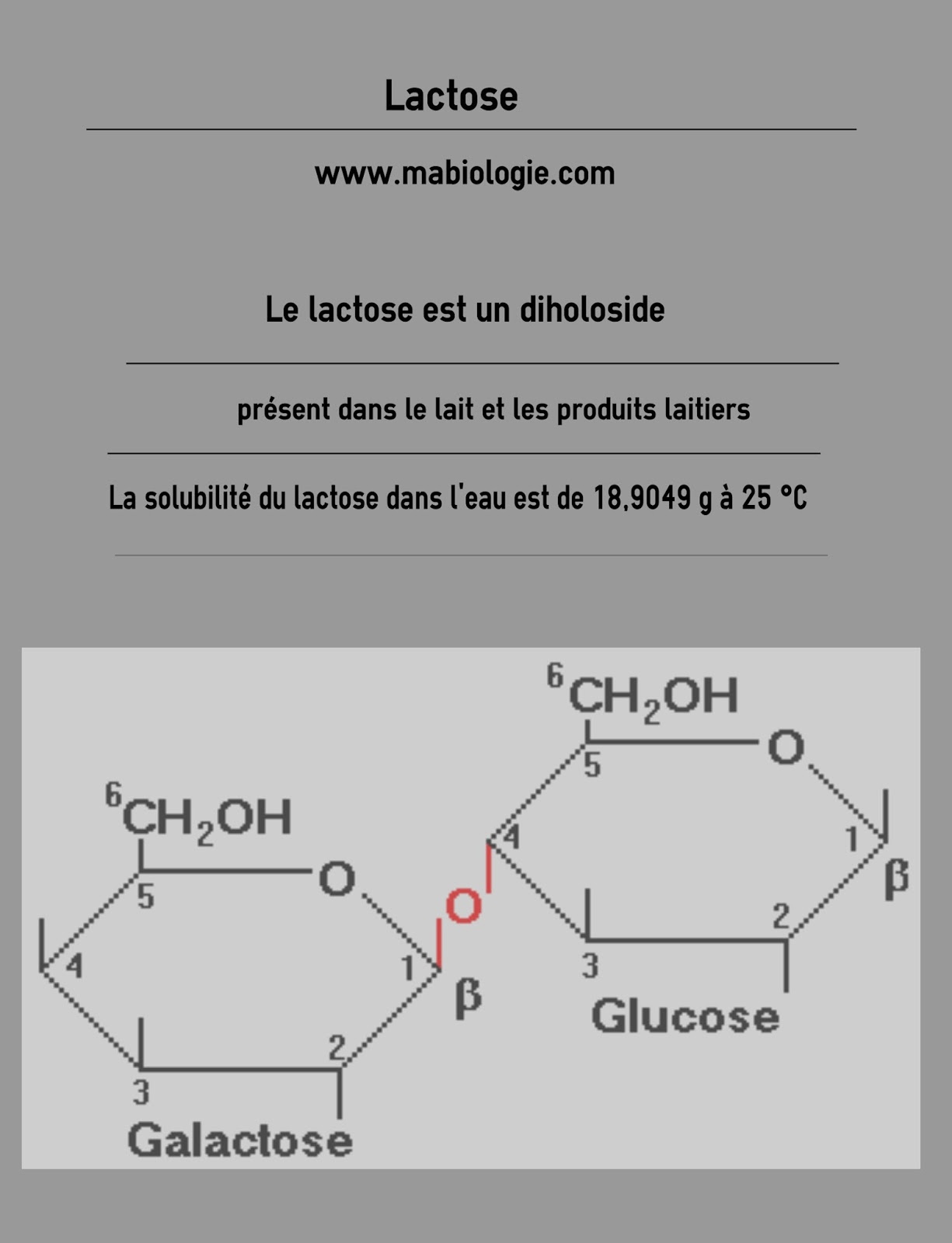 Définition Lactose Ma Biologie