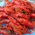 Crayfish, Crawfish, Little Lake Lobsters