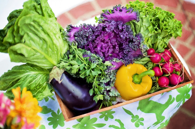 Bisnis sayuran organik