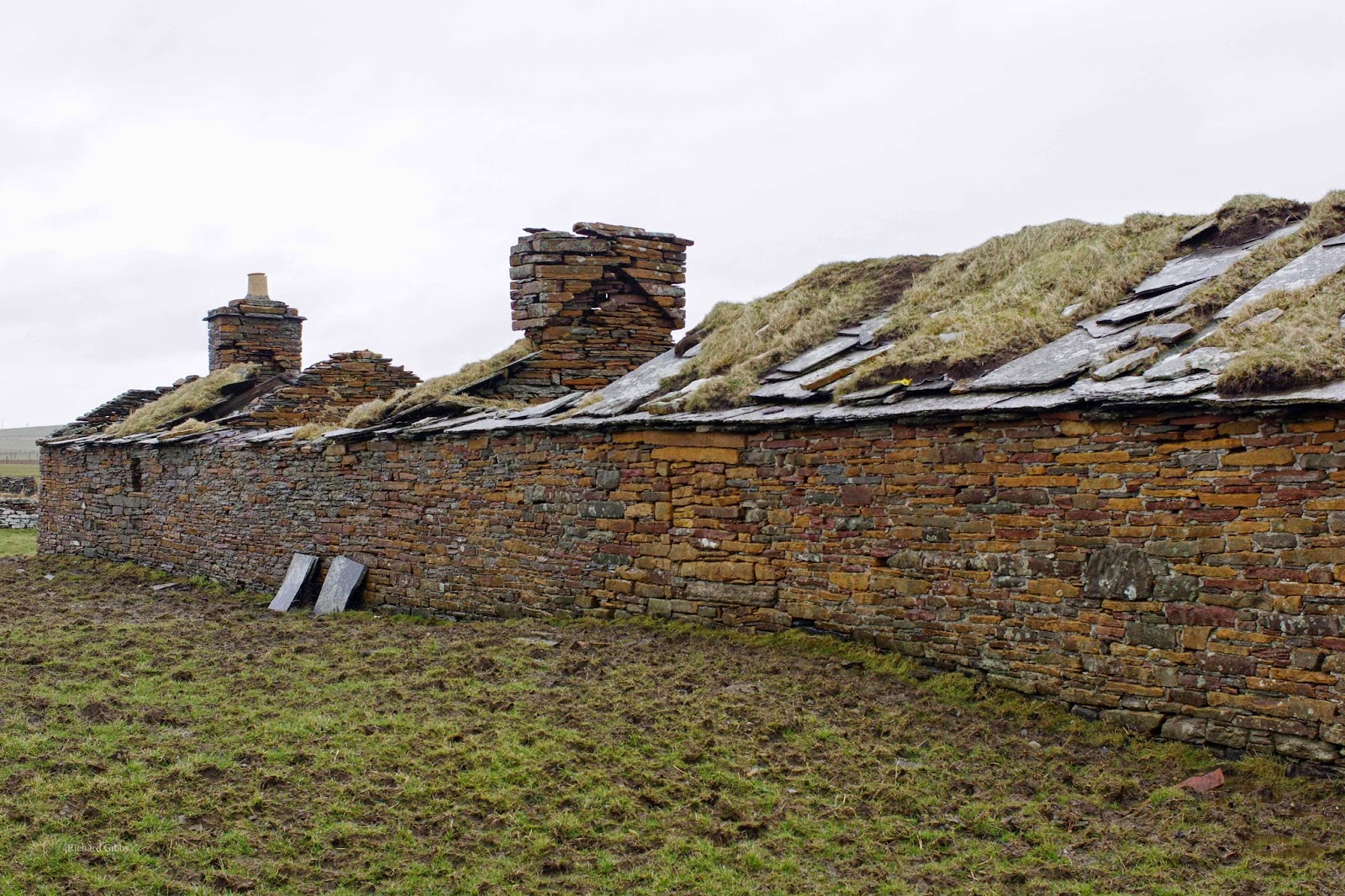 Essay orkney islands image