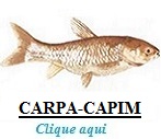 Peixe, Carpa-Capim