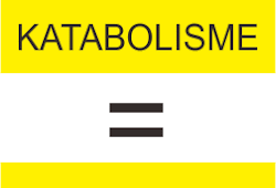 Pengertian Anabolisme Reaksi Dan Tahapannya Lengkap Biologi Sel<script async src=