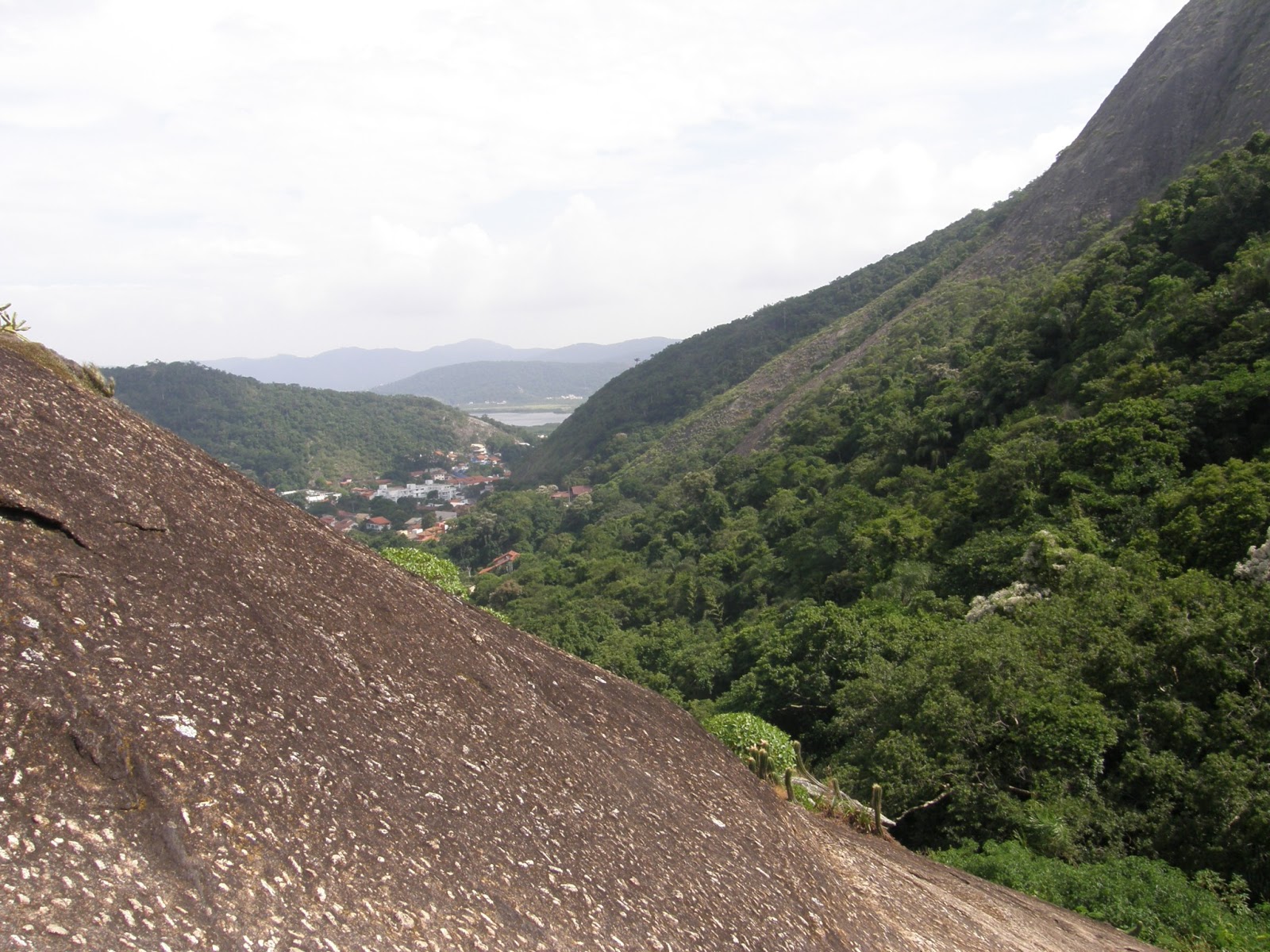 BIOFLAGRANTES* PARQUE ESTADUAL SERRA DA TIRIRICA BIOMA FLORESTA ATLÂNTICA