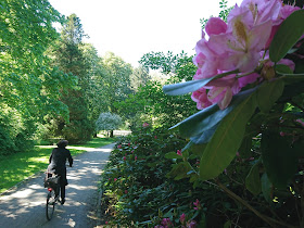 Bürgerpark Braunschweig. Mit Radlerin und blühenden Blüten an einem sonnenreichen Frühlingstag.
