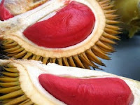 2 Durian Indonesia Yang Menggemparkan Dunia