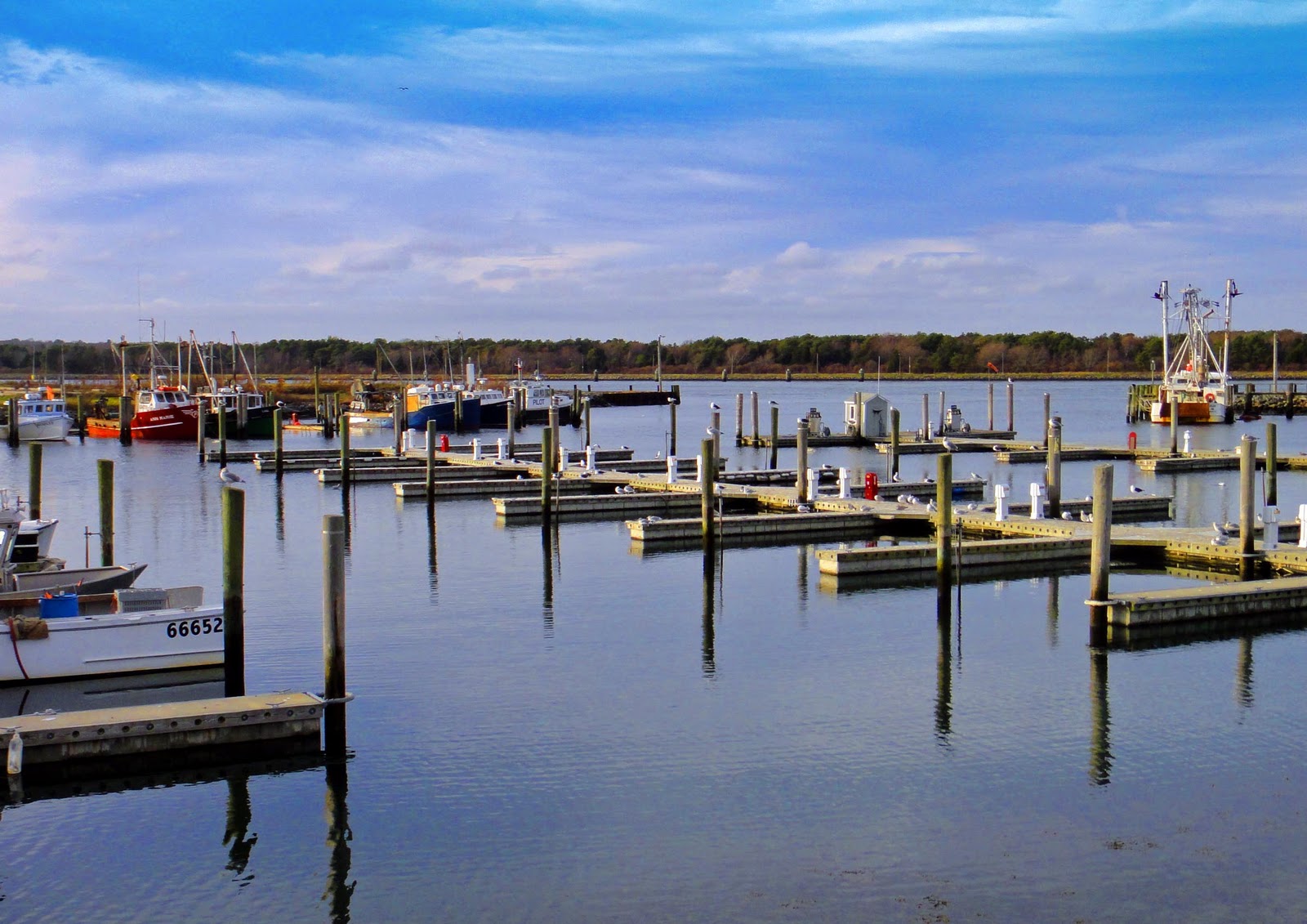 Joe's Retirement Blog Sandwich Marina, Sandwich, Massachusetts, USA