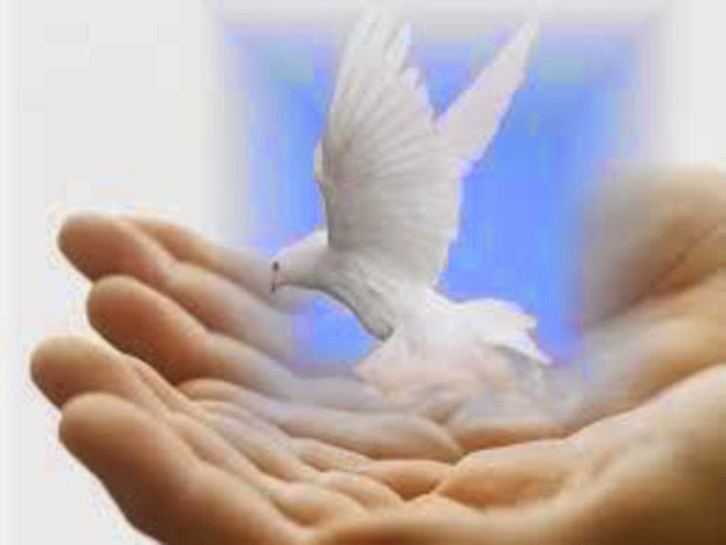 JEZUS en MARIA Groep. De werking