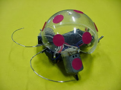 Robot Sederhana Beetlebot