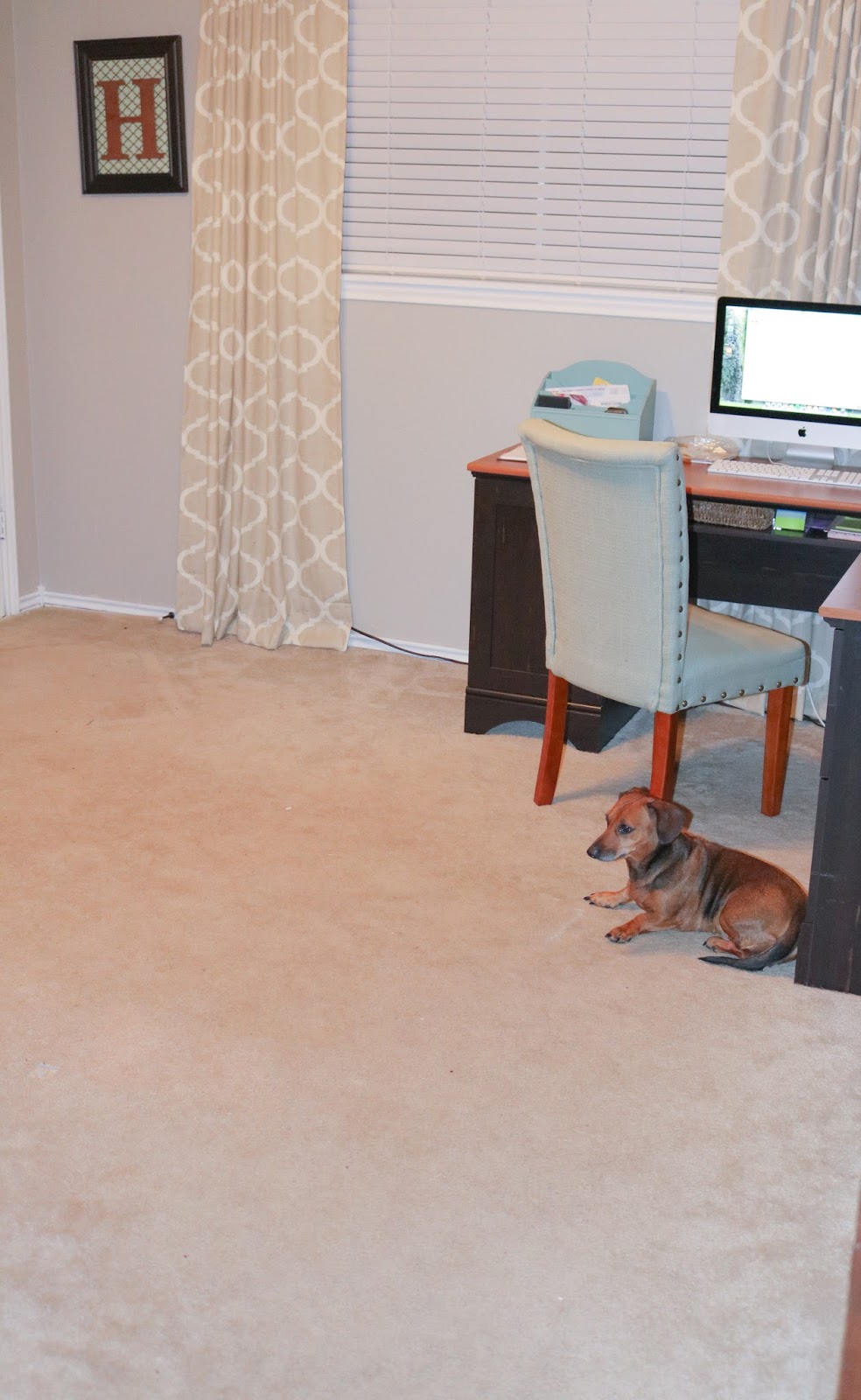 With Grace Goodbye Gross Carpet With Grace Goodbye Gross Carpet