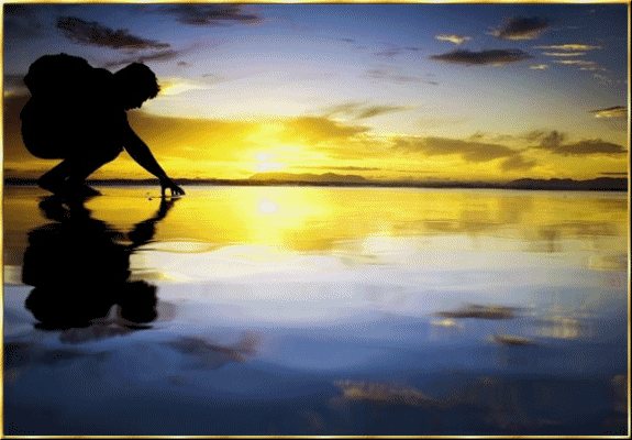 الشافعي طµط¯ظٹظ‚0.gif