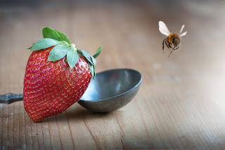 bee and strawberry
