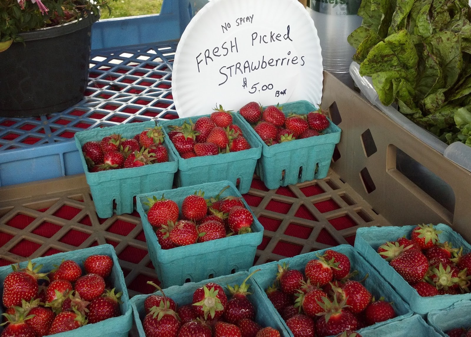 Baking Outside the Box Strawberry Dessert Festival!