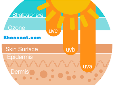 The Science of Human Skin In Hindi