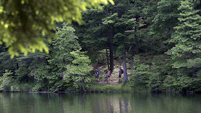 Thermacell Backpacker Mosquito Repeller Creates An Invisible