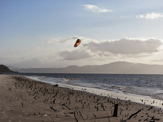 Kitesurf en Daniela y manglar en la playa