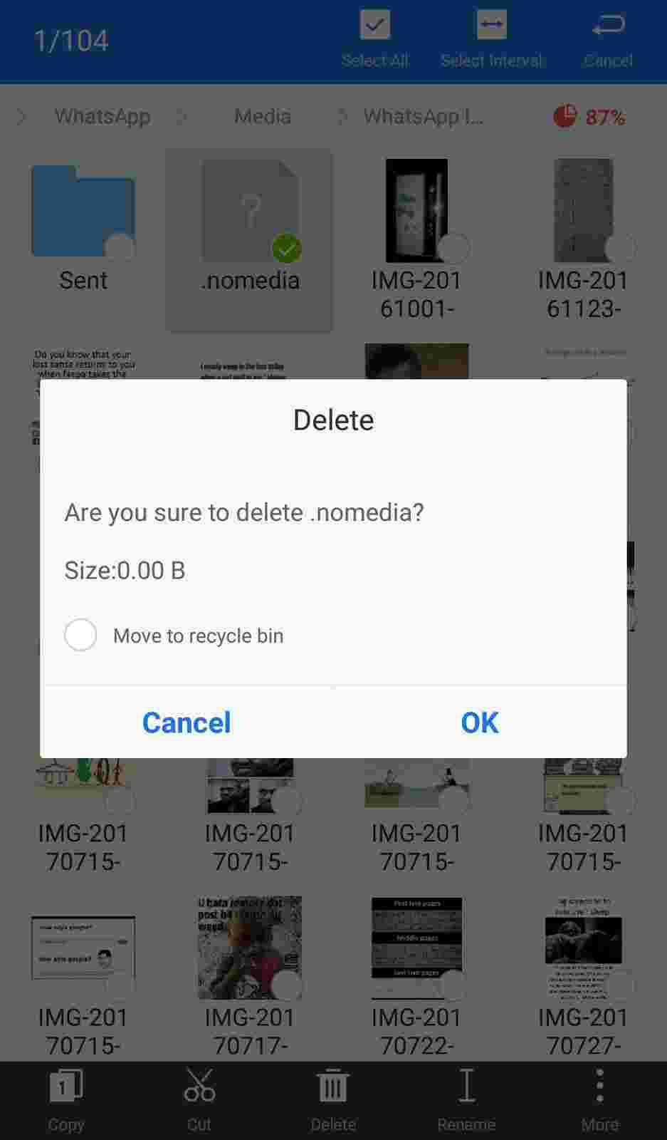 How To Restore Files Hidden Using The .nomedia File.