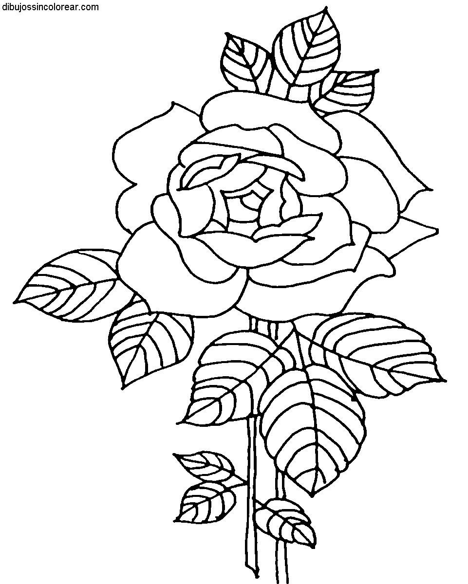 Dibujos Sin Colorear: Dibujos de Flores para Colorear