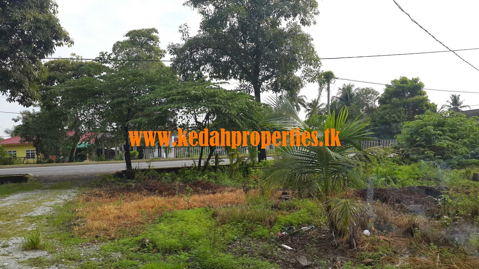 TANAH LOT DI KEDAH UNTUK DIJUAL MURAH