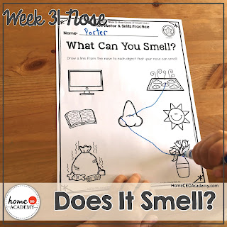https://www.teacherspayteachers.com/Product/Sense-of-Smell-Preschool-Unit-Printables-for-Preschool-PreK-Homeschool-PreK-3821289