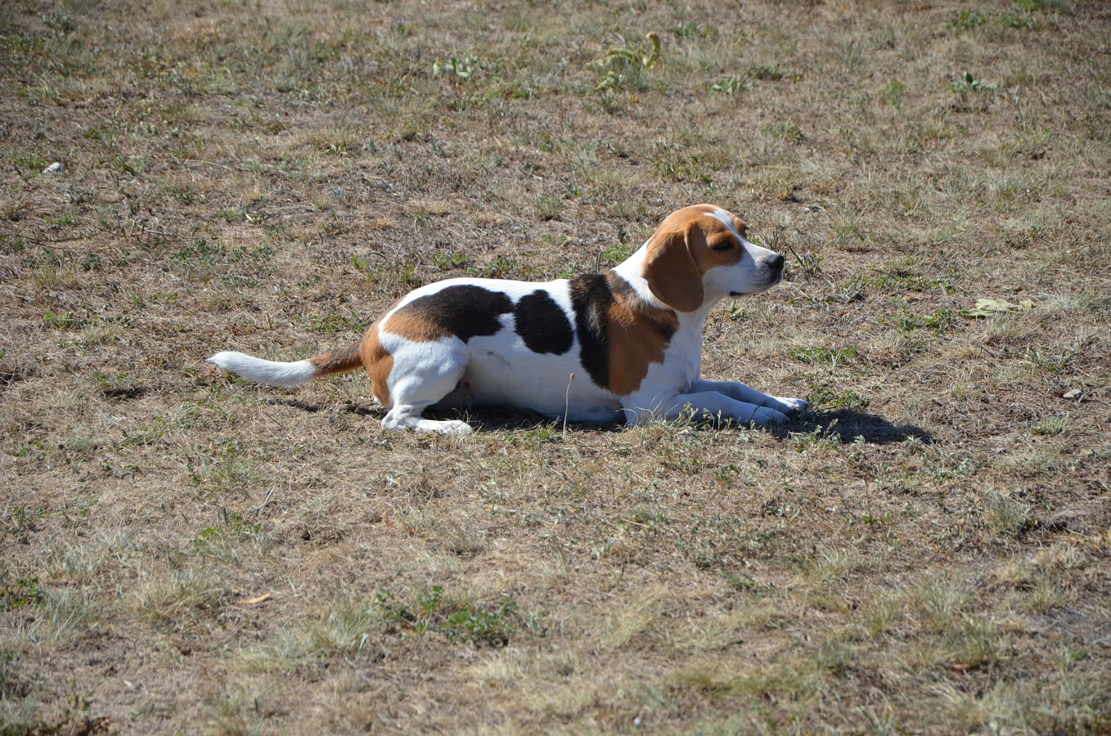 DSC_0325.JPG