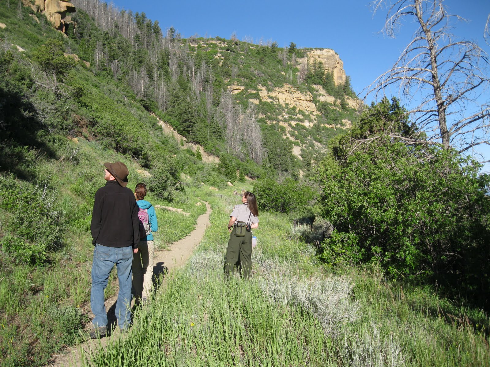 Four Corners HikesMesa Verde Knife Edge Trail Bird Hike