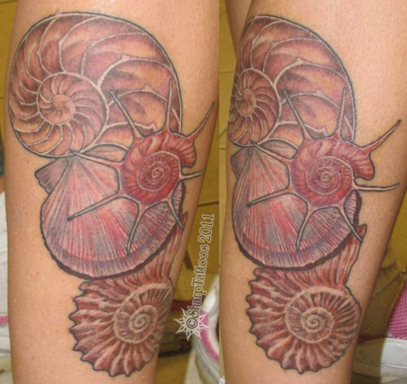 Del's Shells: Seashell Saturday
