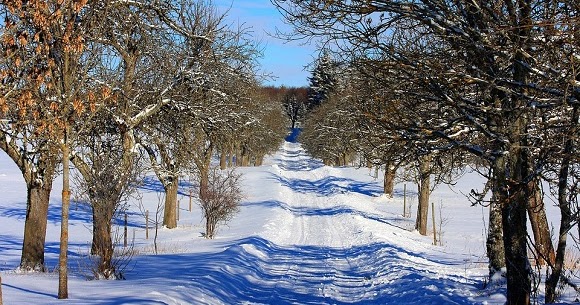 Frasi Sul Mese Di Gennaio Scuolissima Com