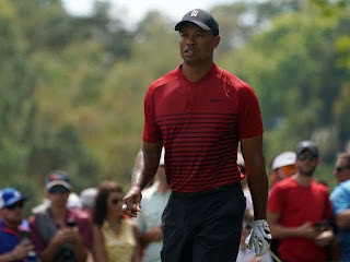 Tiger Woods ties for second at Valspar despite late birdie