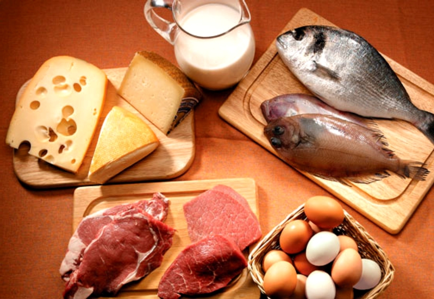 ¿Cuál es la importancia de las proteinas en nuestro cuerpo? ¿Y cómo vas de salud?