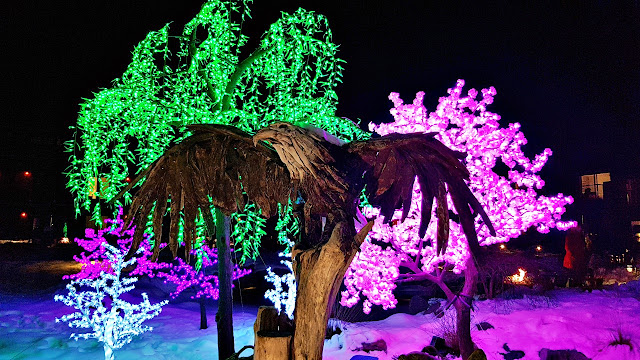 LED shrubbery at the Kingfisher Lodge... LED shrubbery at the Kingfisher Lodge...