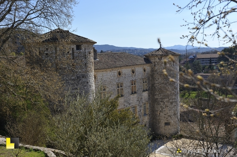 vue plongeante sur le château de vogue photo Pascal Blachier